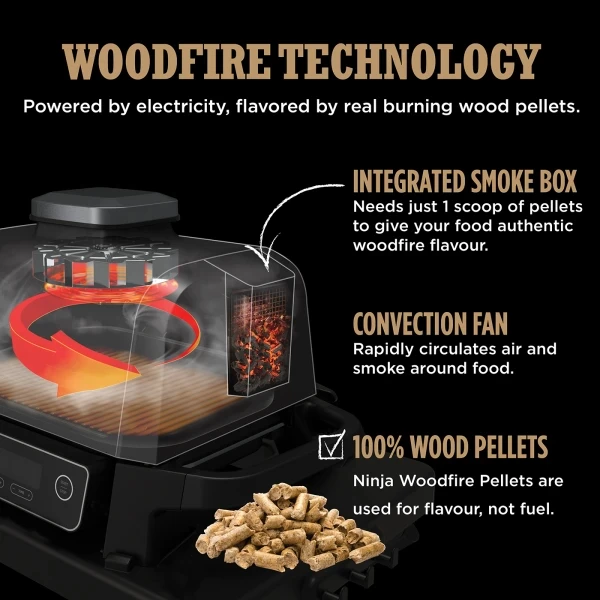 Ninja Woodfire Electric BBQ and Smoker (OG701UK) review: Tasty